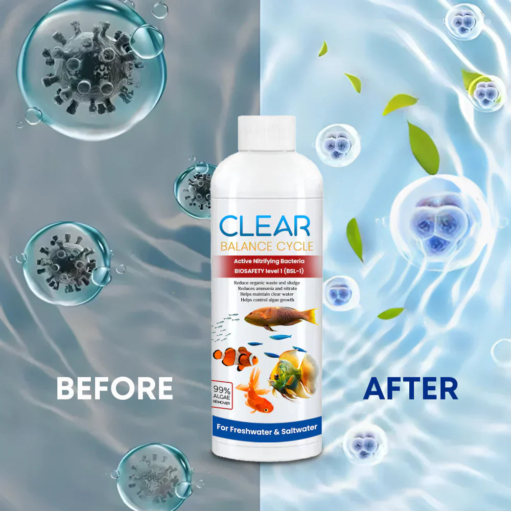 Automatic Fish Tank Purifier & Cleaner | š„Buy 1 Get 2 Freeš„